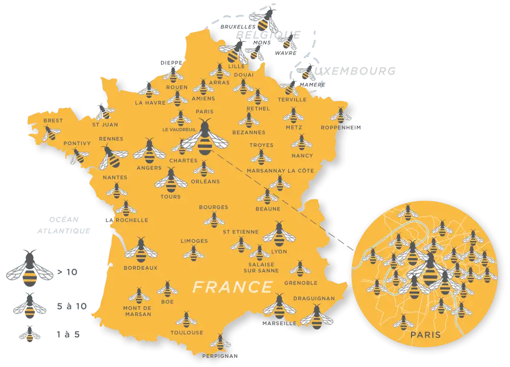 carte de france, avec des pointeurs à chaque répartition de ruches dans les villes